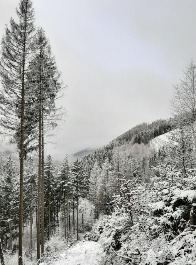 Harz Hotel Iris Sieber 외부 사진