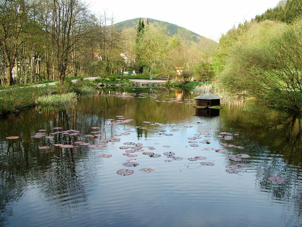 Harz Hotel Iris Sieber 외부 사진