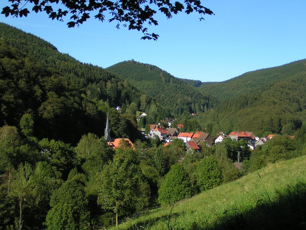 Harz Hotel Iris Sieber 외부 사진